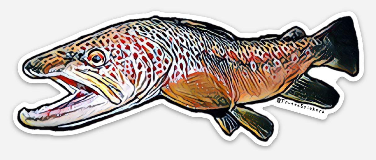 Brown Trout 2”x5” Sticker
